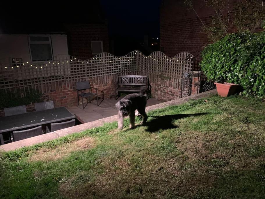 Award Winning Pet Friendly Paddock Cottage Whitby Buitenkant foto