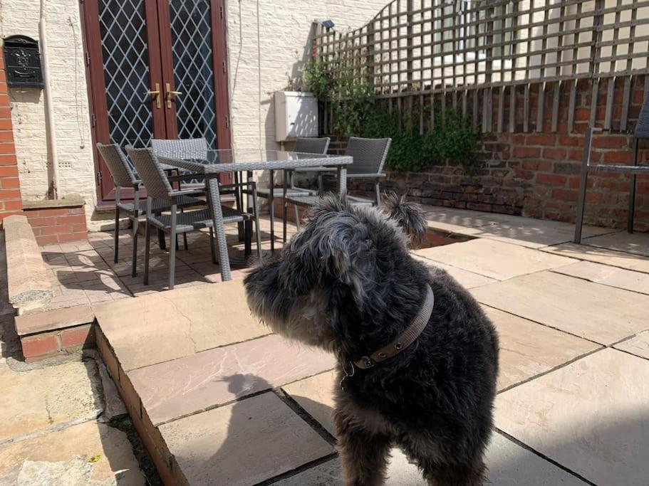 Award Winning Pet Friendly Paddock Cottage Whitby Buitenkant foto